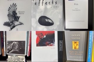 A collection of images representing collections of poems that include poems about being emotionally numb.