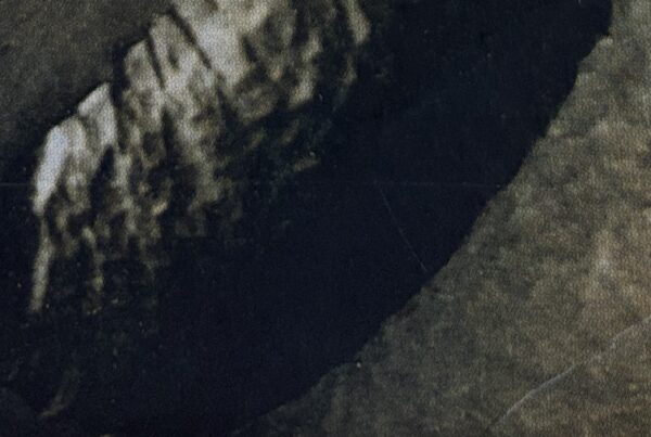 Book cover of 'The God of Small Things' by Arundhati Roy, featuring delicate pink flowers scattered among green leaves, which represents the nuanced storytelling that resonates with experiences like Esther's selective mutism through its exploration of childhood trauma and the power of unspoken emotions.