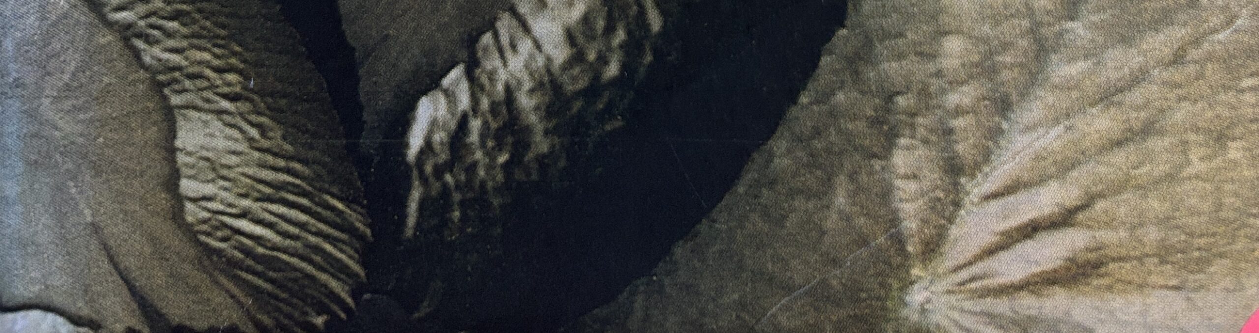 Book cover of 'The God of Small Things' by Arundhati Roy, featuring delicate pink flowers scattered among green leaves, which represents the nuanced storytelling that resonates with experiences like Esther's selective mutism through its exploration of childhood trauma and the power of unspoken emotions.