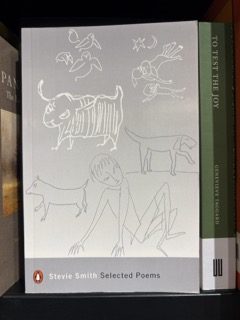 Book cover of Selected Poems by Stevie Smith, featuring childlike line drawings of animals and a solitary human figure seated on the ground. The whimsical yet haunting art reflects the poet’s blend of dark humour and melancholy, subtly capturing themes of depression beneath a deceptively simple surface.