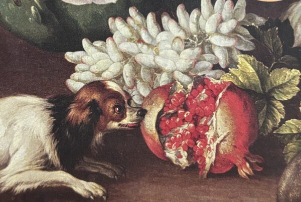 Wednesday’s Child book cover – exploring Rosalie’s traumatic grief and themes of loss in Yiyun Li’s stories.